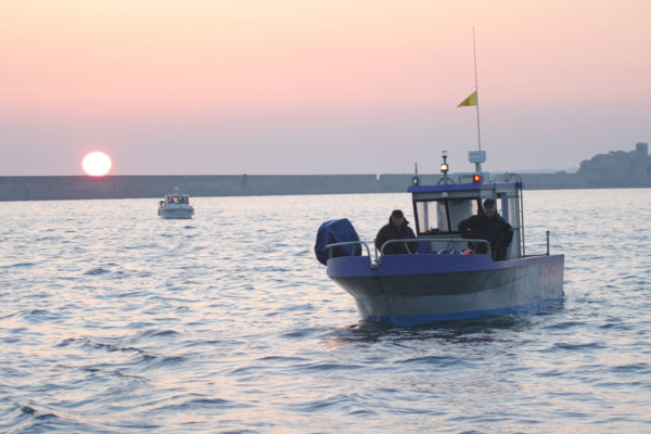 France, Basse Normandie, Manche, Cotentin, Cherbourg, navires de plaisance naviguant dans le rade, lever de soleil, navigation, loisir,