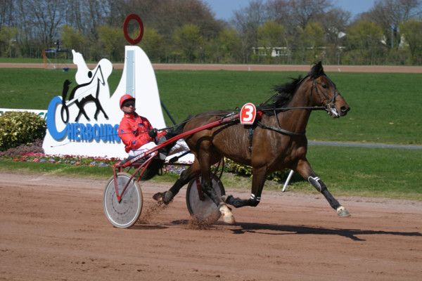France, Basse Normandie, Manche, Cotentin, Cherbourg, hippodrome de la glacerie, courses de trot, hippisme, cheval trotteur, sulky, driver,