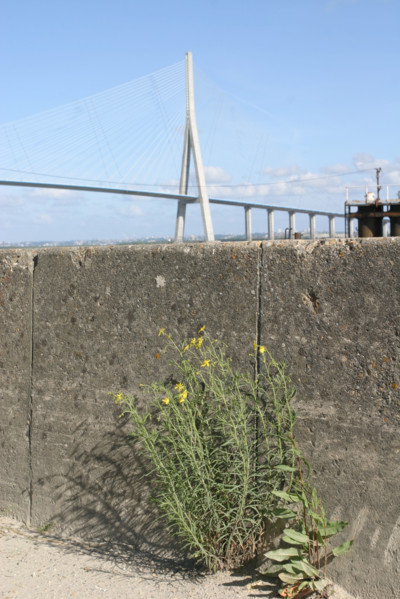France, normandy bridge