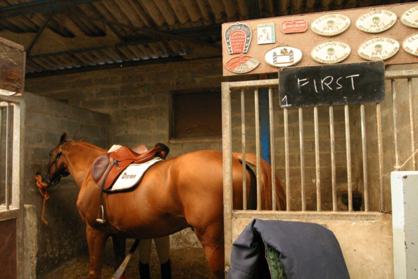France, Basse Normandie, Manche, pays de saint lo, florian angot, cavalier international, selectionne olympique 2004, first de launay, etalon du haras national de saint lo, cheval, hippisme, selle fra...