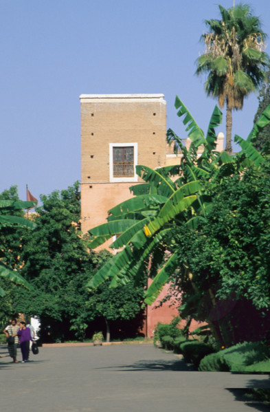 africa, garden