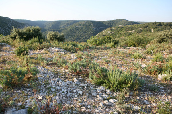 France, trail