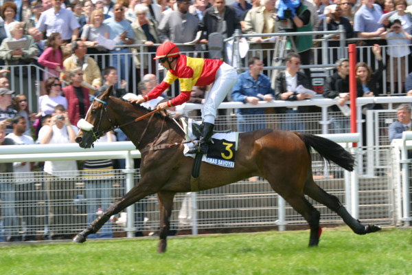 France, ile de france, paris 16e, hippodrome d'auteuil, course d'obstacles, gras savoye grand steeple-chase de paris 2004, jockey, cheval, prix, pur sang, cheval, hippisme, turf,
