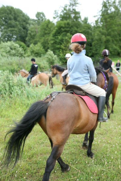 France, picardie, somme, beauchamp, frontiere avec la Normandie, pays de la bresle maritime, centre equestre du lieu dieu, sport equestre, equitation, loisirs, cheval, cavalier,