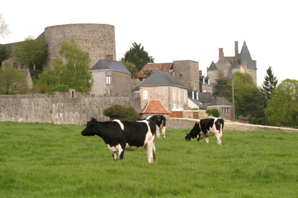 France, sainte suzanne