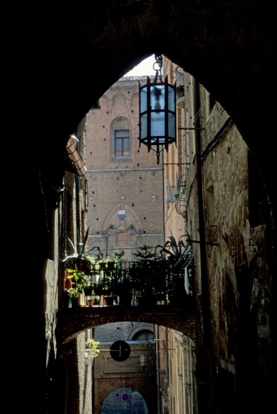 Italie, toscane, sienne, rue en pente, quartier, maisons, facades, ville, arcade, pont,