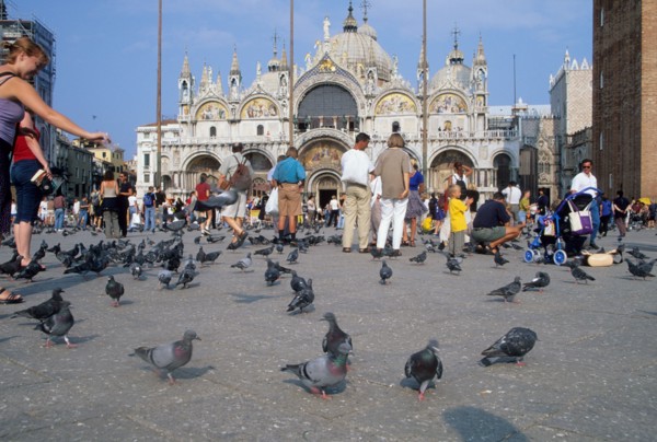 italy, san marco