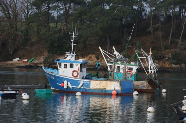 france, Bretagne, Morbihan, golfe du Morbihan, sene, port anna, bateaux, barques, peche, mouillage, coque, chalutier,
