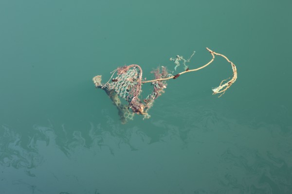 France, region nord, pas de calais, boulogne sur mer, port de plaisance, bassin Napoleon, pollution, environnement, vieux cordage, filets, gazole,