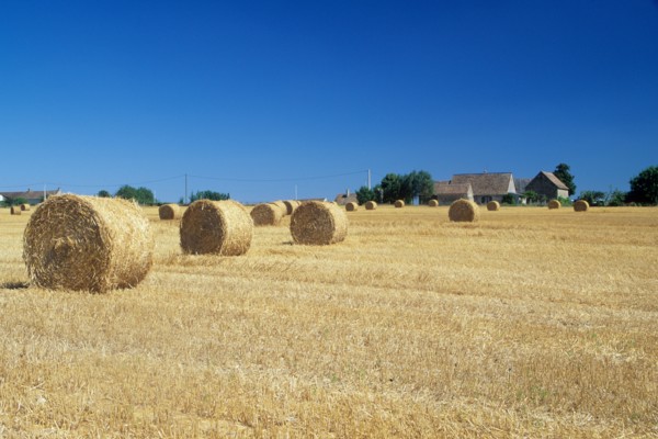 France, region pays de loire, sarthe, sud, agriculture, champ, paille, roundballers, ferme,