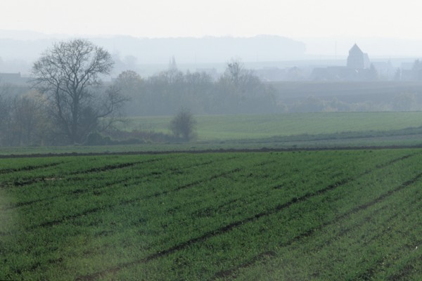 France, region picardie, paysage du valois, agriculture, automne, champs, brume, arbres, sillons,
