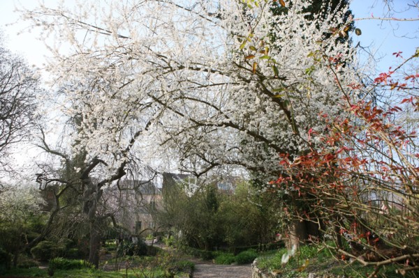 France, vallee de la seine