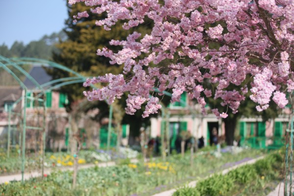 France, Haute Normandie, eure, vallee de la seine, giverny, maison de claude monet, jardin, fleurs, impressionnistes, peinture, chef jardinier gilbert vahe,