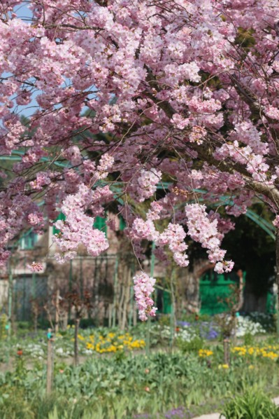 France, vallee de la seine