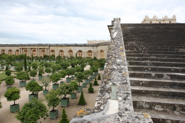 France, ile de france, yvelines, versailles, chateau, jardins, orangerie, arbres, les cent marches,