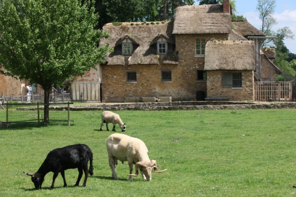 France, ile de france, yvelines, versailles, chateau de versailles, petit trianon, hameau de la reine, la ferme,
