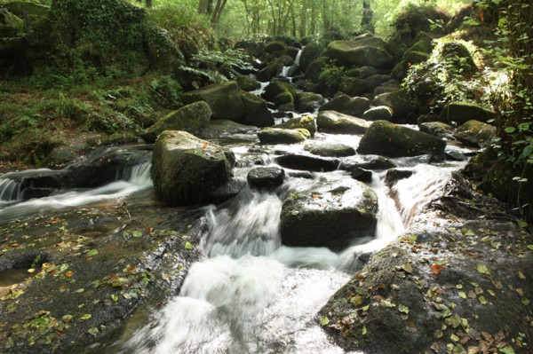 France, tourist of the bocage virois host country