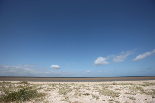 France, Basse Normandie, calvados, bessin, entre isigny et grandcamp maisy, littoral, dunes, estuaire, manche, sable,