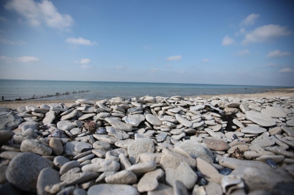 France, Basse Normandie, calvados, bessin, entre isigny et grandcamp maisy, littoral, dunes, estuaire, manche, sable, galets,