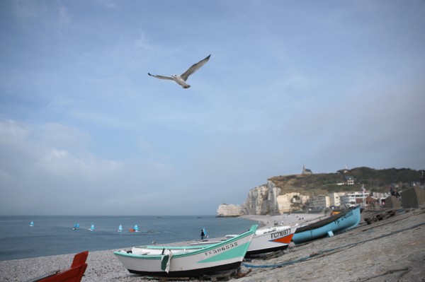 France, Haute Normandie, seine maritime, pays des hautes falaises, etretat, plage, galets, falaise d'amont, barques, caiques, bateaux, canots, impressionnisme, goeland en vol,