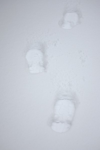 Ile de France, Snowy