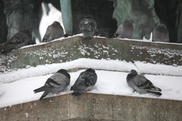 Ile de France, Snow