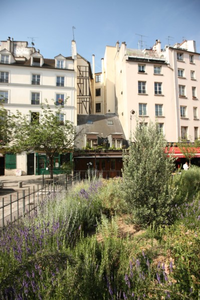 France, Ile de France, paris 5e arrondissement, rue de la bucherie, voisinage de hauteurs differentes, jardin