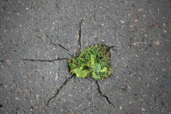 France, Detail of the pavement