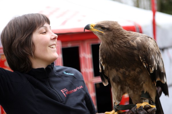 France, Haute Normandie, eure, balines, falconarius, bois des aigles, rapaces, hebergement en yourte mongole, faucon des steppes,