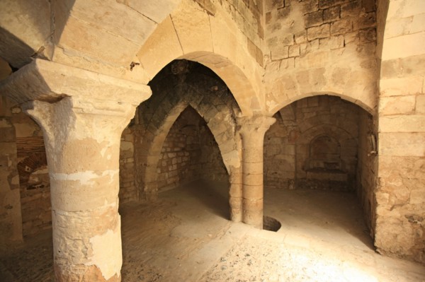 France, Haute Normandie, eure, pont de l'arche, abbaye de bonport, monument historique, abbaye cistercienne, vestiges de l'ancienne cheminee des cuisines,