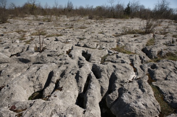 France, Loulle limestone pavement