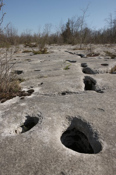 France, Loulle limestone pavement