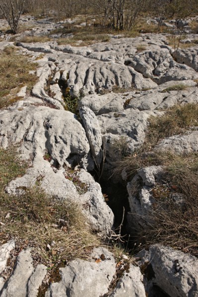 France, Loulle limestone pavement