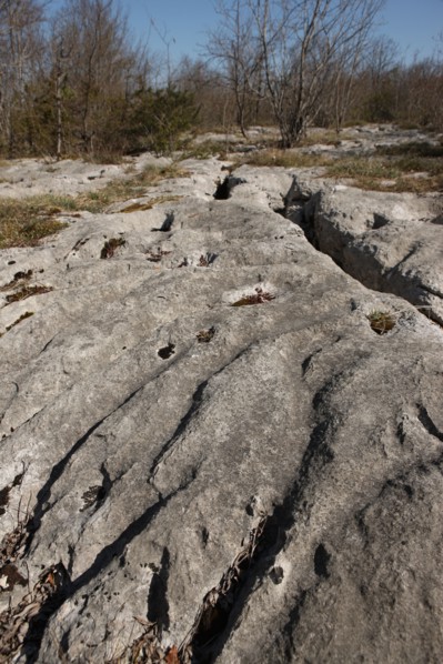 France, Loulle limestone pavement