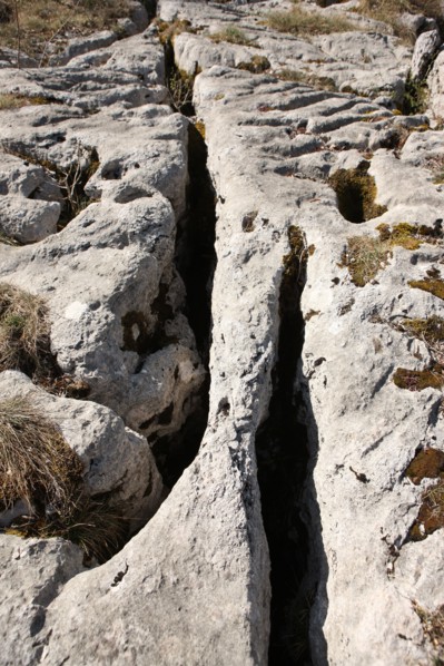 France, Loulle limestone pavement