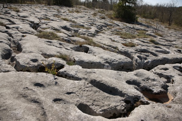 France, Loulle limestone pavement