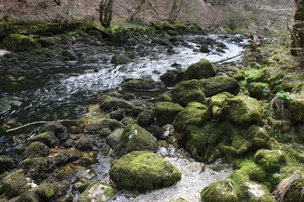 France, franche comte, jura, nozeroy, source de l'ain, pays des lacs, eau, paysage, nature, hiver,