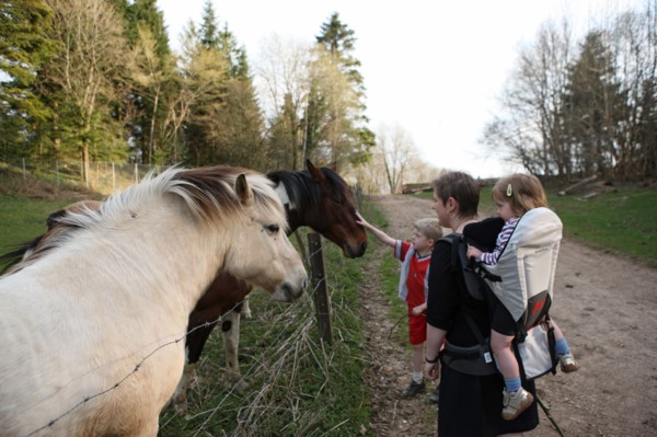 France, ferme de séjour