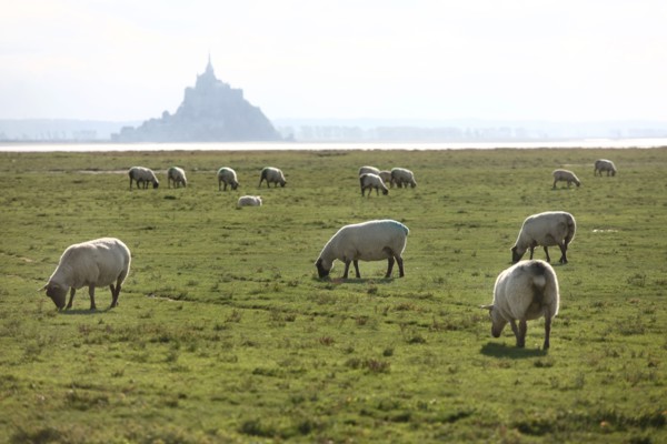 France, bay of the mont saint michel