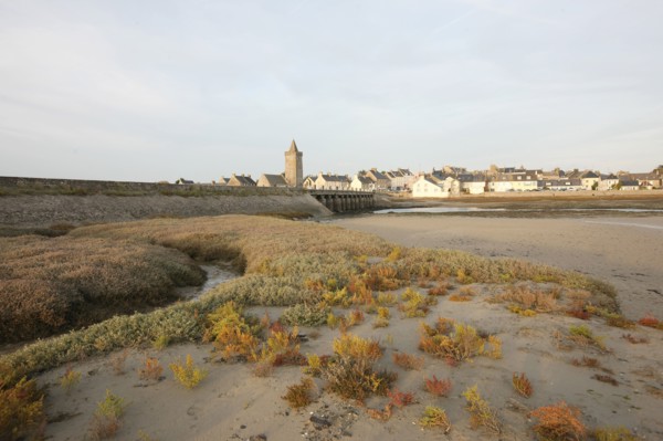 France, Basse Normandie, manche, cote des havres, portbail, littoral, mer, port, bateaux, port, maree basse, soleil levant, clocher, sable, vegetation,