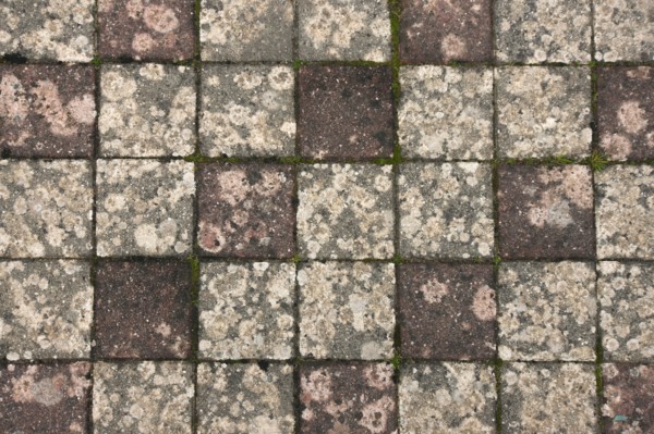 France, Basse Normandie, manche, cote des havres, portbail, littoral, mer, detail du sol, ciment, mousse, lichen, damier,