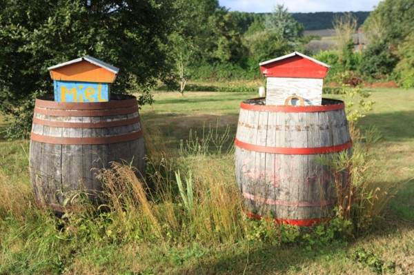 France, land