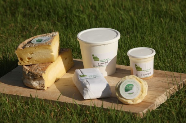 France, Haute Normandie, seine maritime, plateau de caux maritime, saint vaast dieppedalle, les pres d'artemare, famille follet, produits fermiers, gastronomie, agriculture, fromages, elevage vaches l...