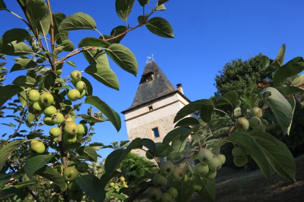 france, region midi pyrenees, tarn et garonne, varen, arnac, ferme de quyvie, sylvie et thierry bolmont, agriculture biologique, tomates, herbes aromatiques, alimentation, jardin, gite, colombier, pom...