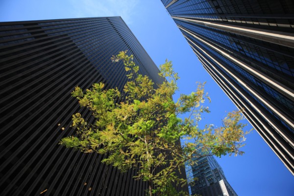 usa, etat de New York, New York City, Manhattan, Broadway, vers Rockfeller Center, buildings, rue,