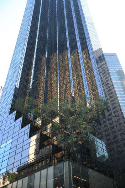 usa, etat de New York, New York City, Manhattan, Broadway, vers Rockfeller Center, buildings, rue, terrasse, arbre,