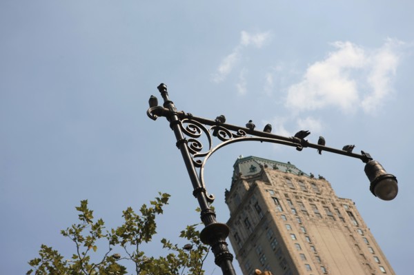 usa, etat de New York, New York City, Manhattan, Broadway, Central Park, building,