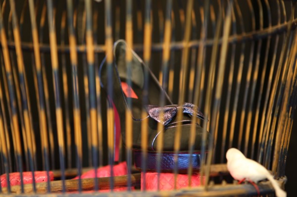 France, ile de france, paris 3e arrondissement, 27 rue charlot, boutique de chaussures Pring, creatrice, 
Date : 2011-2012