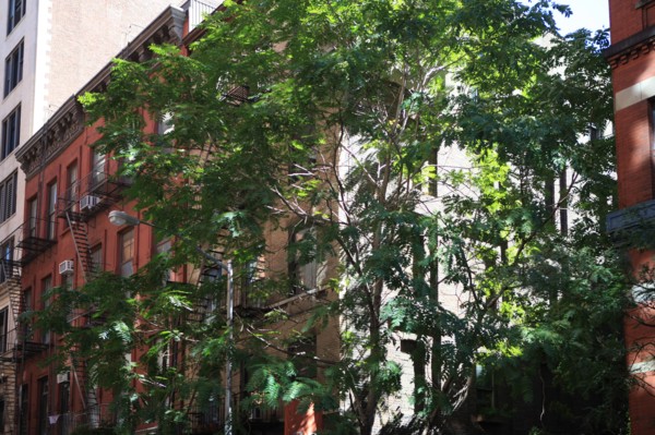 usa, state of New York, NYC, Manhattan, Soho,