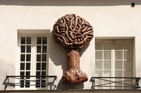 France, ile de france, paris 5e arrondissement, 69 rue mouffetard, detail, facade, mur, arbre.
Date : 2011-2012